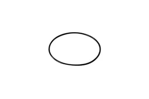 Caterpillar C12 Mounting Seal Ring, New (6V3834)