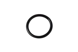 Caterpillar O-Ring Seal, New (6V5063) — 2