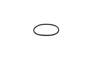 Caterpillar O-Ring Seal, New (6V5100)
