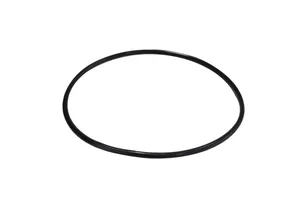 Caterpillar O-Ring Seal, New (6V6353)
