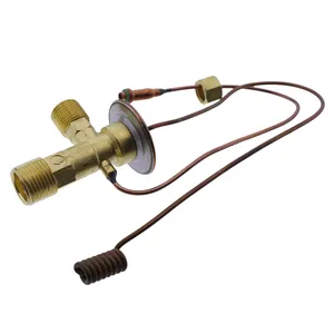 Expansion Valve 700712704 for CASE IH Windrower Tractor 8820 8840 8825 8830 8840 8850 — 4