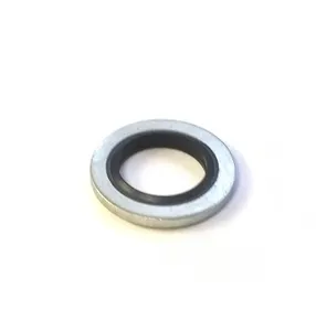 CAV DPA and DPS advance housing nut sealing washer