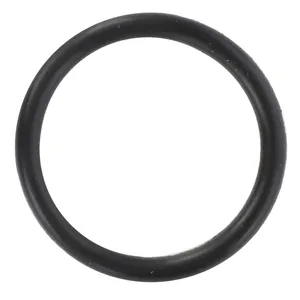 AGCO | O Ring - 70923566