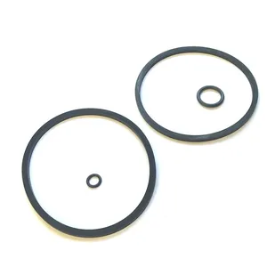 Lucas Delphi fuel filter seals