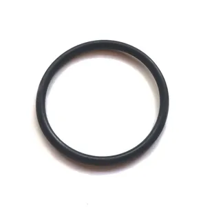 Lucas Delphi EPIC ESOS valve O ring large 9167-408L