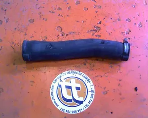 NO Identificado Renault