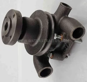 Pump, Water With Single Pulley