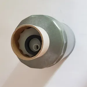 Fuel Filter / Filtre gazole Renault — 13