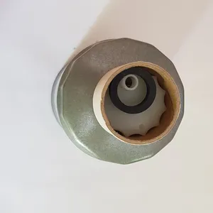 Fuel Filter / Filtre gazole Renault — 5