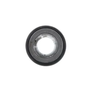 Pai 750016 Hendrickson 22279-000L Center Bushing — 3