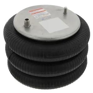 Pai 750291 Hendrickson R-B-14487 Air Spring