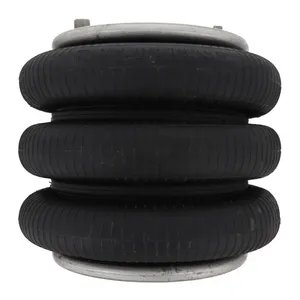 Pai 750291 Hendrickson R-B-14487 Air Spring — 5
