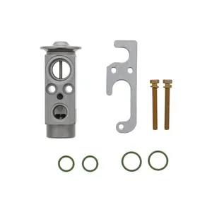 Oem 804077OEM Mack 3543-T4935001 Expansion Valve