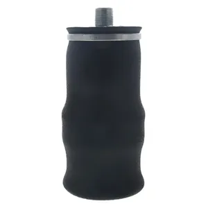 Pai 804264 Infinity 1S5-005 Air Spring — 2