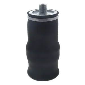 Pai 804264 Infinity 1S5-005 Air Spring