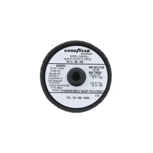 Pai 804267 Navistar 2501300C1 Air Spring — 3