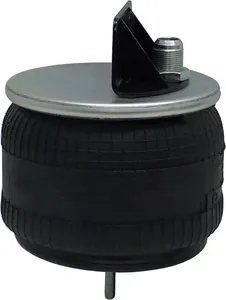 Pai 804327 Infinity 1R11-222 Air Spring