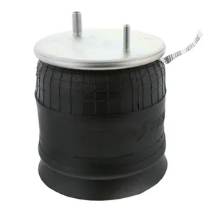 Pai 804329 Infinity 1R11-166 Air Spring