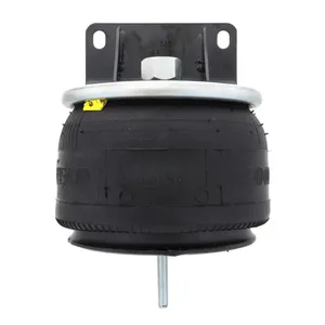 Pai 804330 Infinity 1R11-268 Air Spring — 3