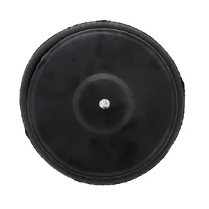 Pai 804330 Infinity 1R11-268 Air Spring — 5