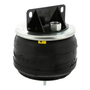 Pai 804330 Infinity 1R11-268 Air Spring