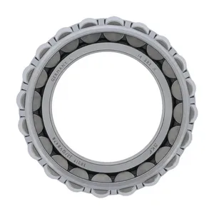 Pai 806971 Mack 21626063 Bearing — 4
