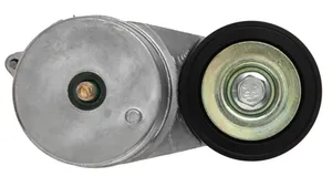 Continental Elite Tensioner Assembly 816.49610
