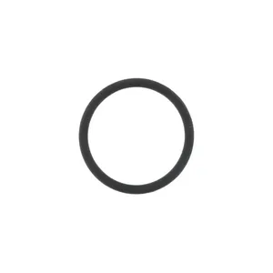 Pai 821013 Mack 20536487 O-Ring — 2