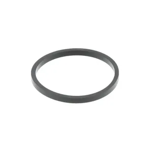 Pai 821066 Volvo 3165097 Rectangular Sealing Ring