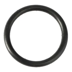 AGCO | O-Ring - 831617M1