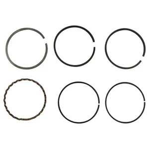 Ring Set for Massey Ferguson 836117M1, 836117M91