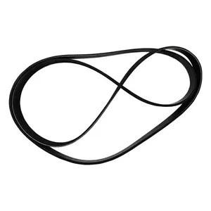 Belt, Serpentine