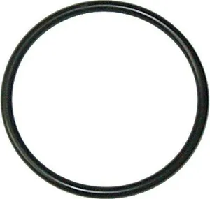 87111S95 SEAL O’RING – HYDRAULIC CYLINDER PISTON fits FORD Tractors