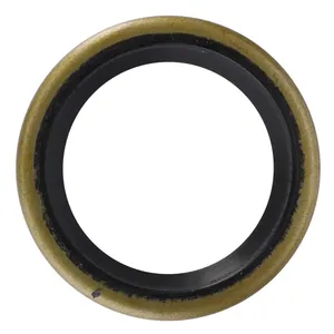 AGCO | Oil Seal, Input Shaft - 883935M4