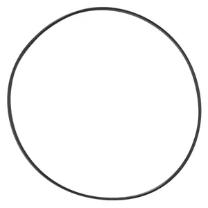 AGCO | O Ring - 886089M1