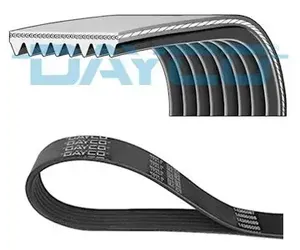 SCANIA DAF MERC BELT (DAYCO)