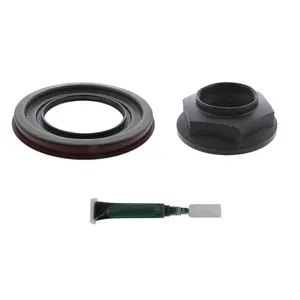 Pai 920023 Eaton 131008K Pinion Seal And Nut Kit