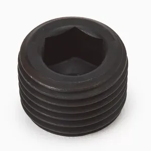 Hitachi PLUG (94-2010)