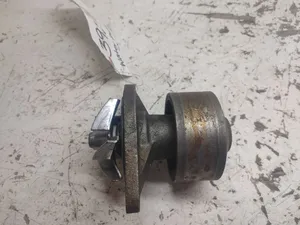 Water Pump, Case/case I.H., Used