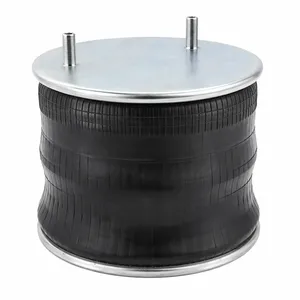 AB1DF23I-P1137 - Air Spring Rolling L