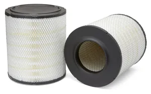 AF25139M - Air Filter, Primary, Magnum