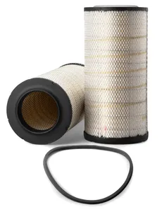 AF25247 - Air Filter, Primary