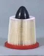AF25254 FLEETGUARD Original-Luftfilter