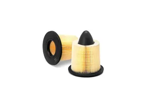Original Fleetguard Luftfilterelement AF25254
