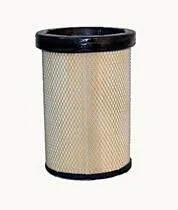 AF25289M FLEETGUARD Original-Luftfilter
