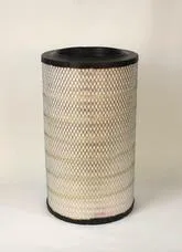 AF25466M FLEETGUARD Original-Luftfilter