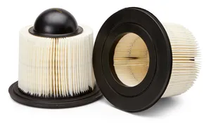 AF25590 - Air Filter, Primary