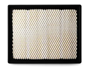 AF25636 FLEETGUARD Original-Luftfilter