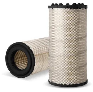 AF25667 - Air Filter, Primary