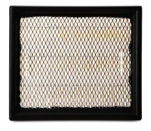 AF25684 FLEETGUARD Original-Luftfilter